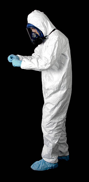  Ada, MN Mold Removal Pros